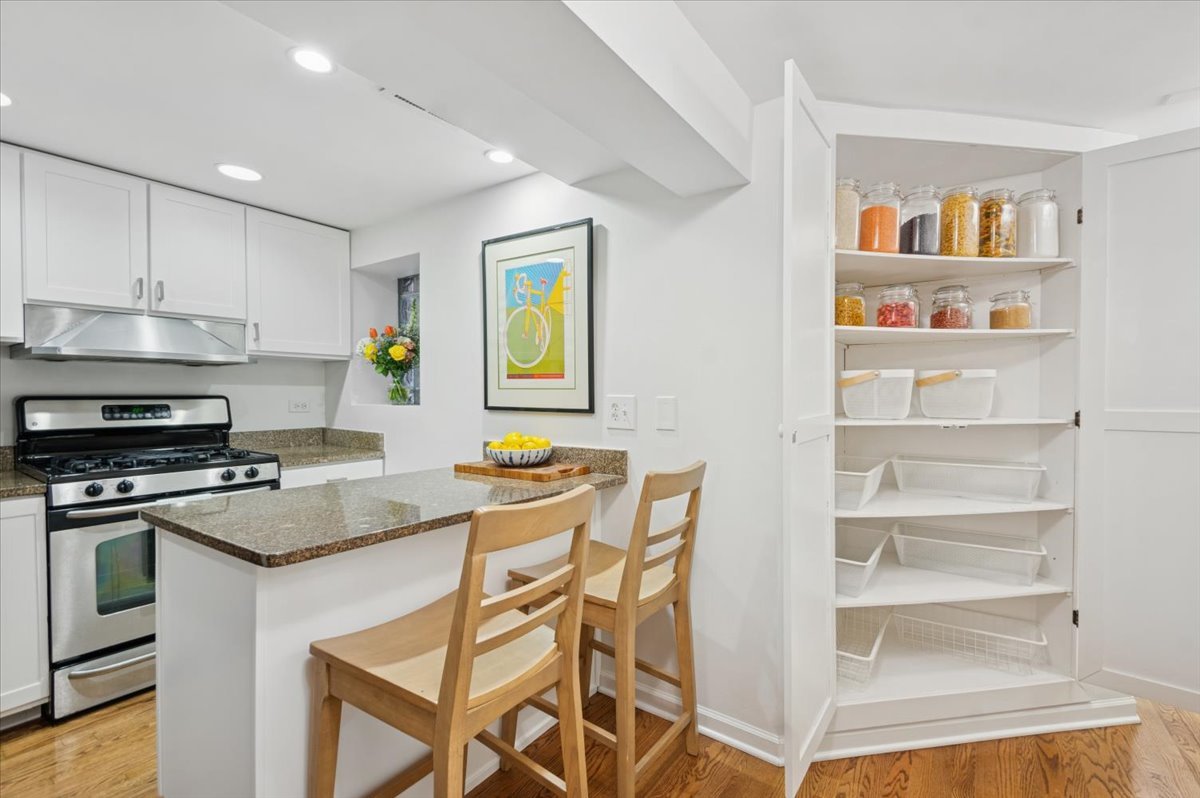 1621 West Rascher Avenue, Unit G Chicago, IL 60640 - Photo 11 of 18 Gallery Image 11