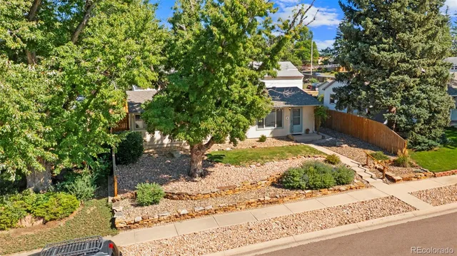 a view of a yard with plants