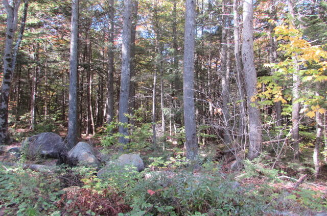 Tbd Webb Cove Road Enfield, ME 04493 - Photo 3 of 3 IMG_3229