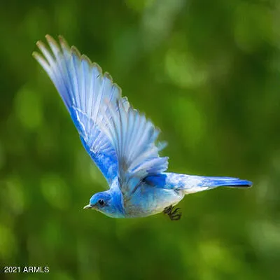 a view of balcony with furniture and sunset