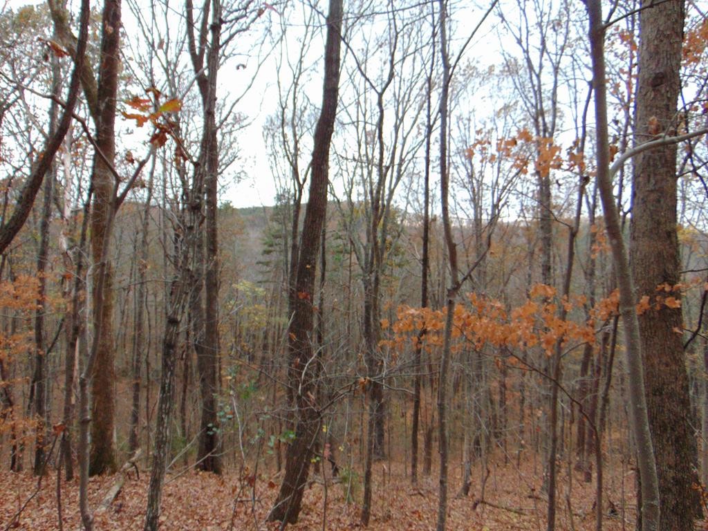 0 Bell Rattle Village Tellico Plains, TN 37385 - Photo 9 of 33