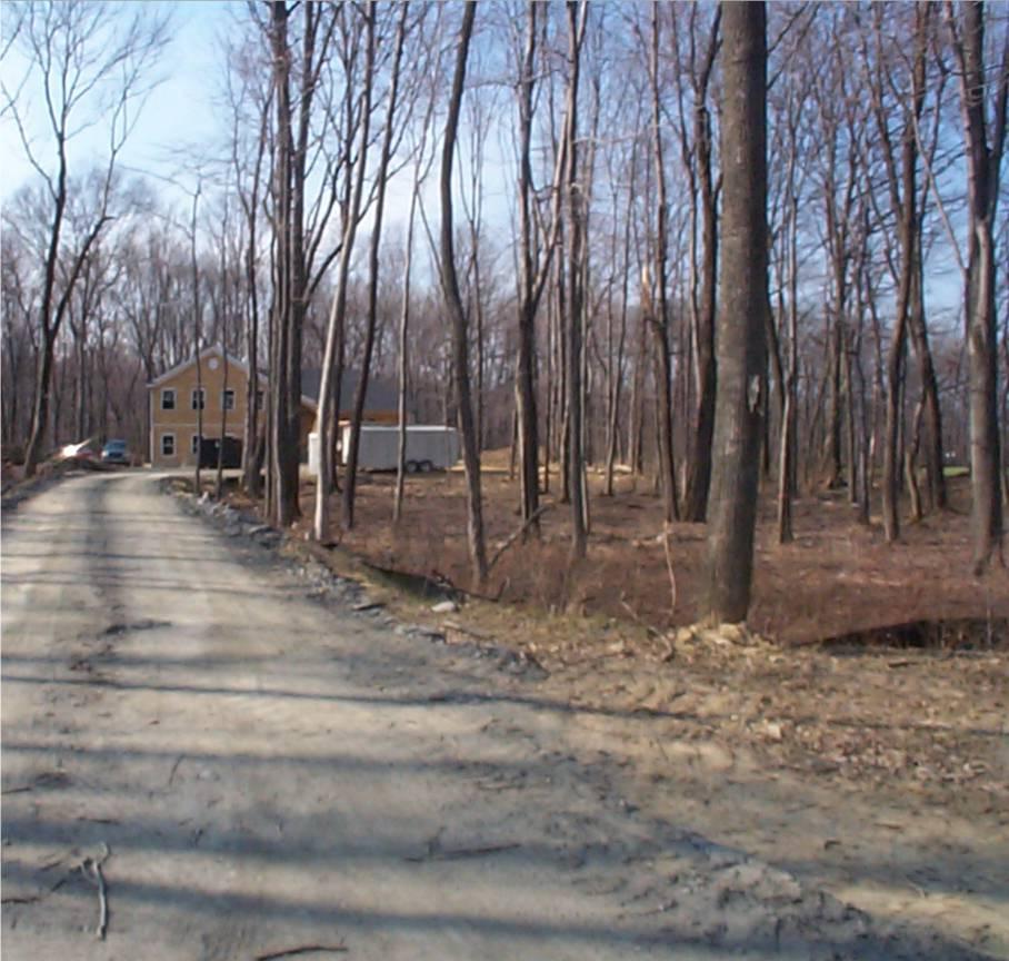 203 Bunny Trail Road Bangor, PA 18013 - Photo 3 of 3 Road View