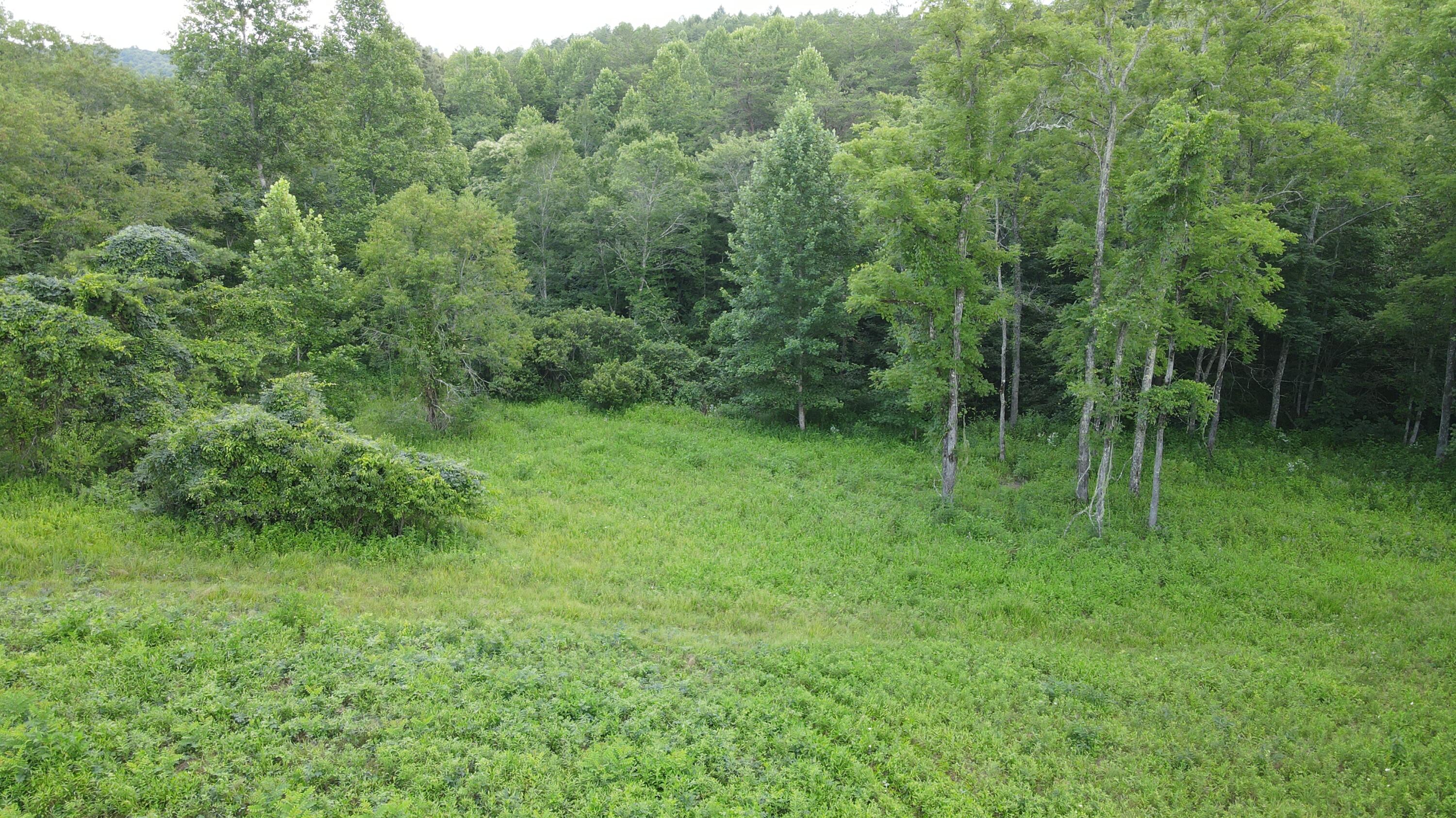 3550 River Road Williamsburg, KY 40769 - Photo 9 of 11 dji_fly_20260716_192512_229_178424432916