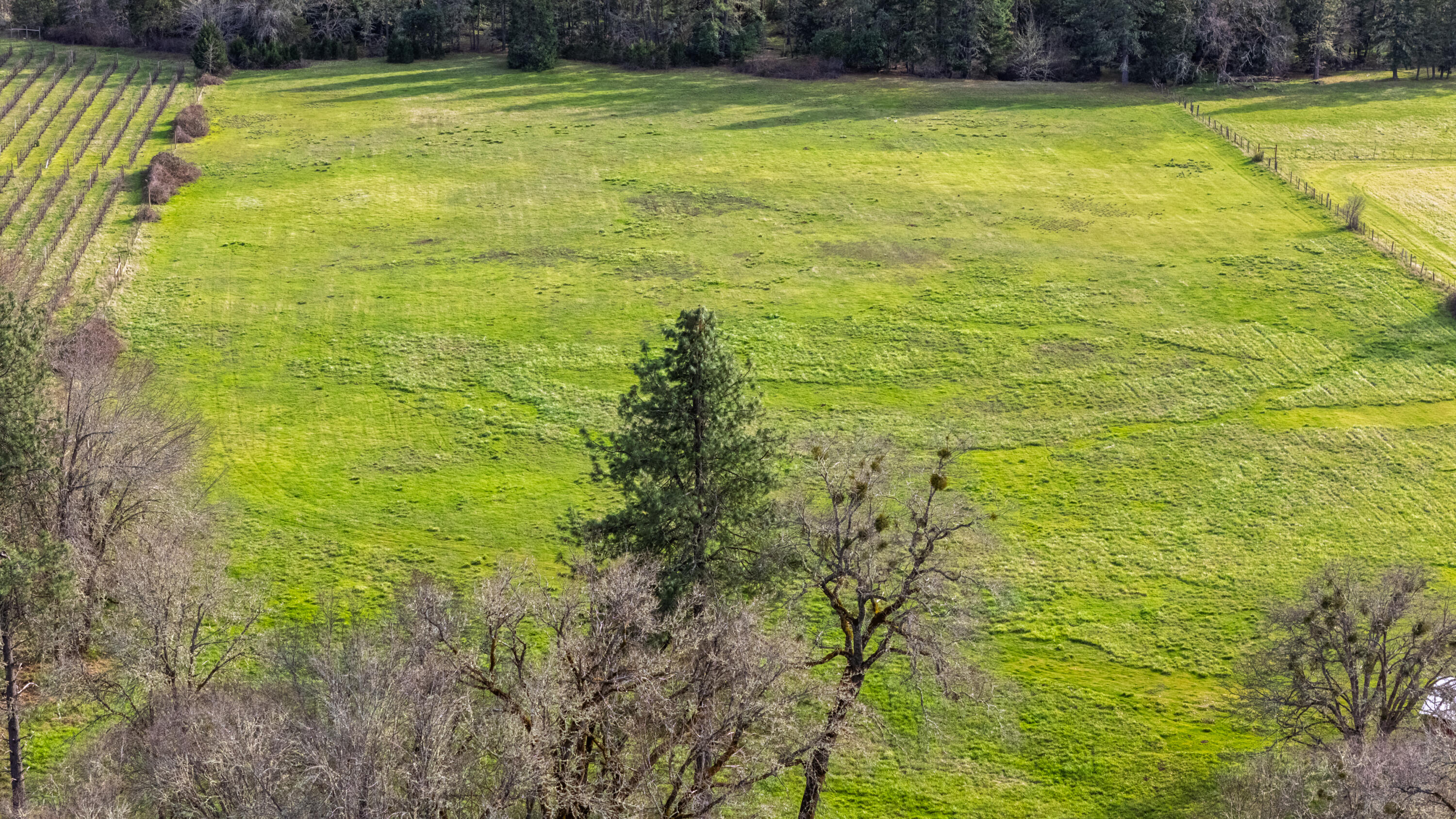 5395 Deer Creek Road Selma, OR 97538 - Photo 33 of 43 5395drone (12)