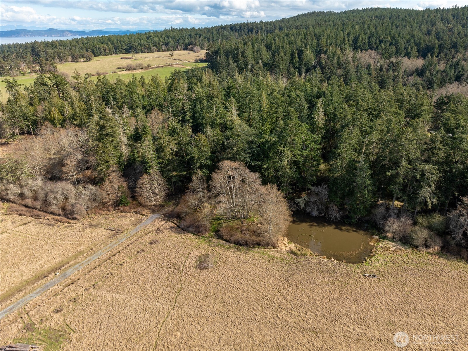 4722 Mud Bay Road Lopez Island, WA 98261 - Photo 12 of 22 Gallery Image 12