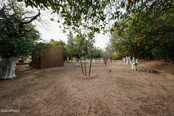 $1,999,000 | 2005 North Pomelo, Mesa, AZ 85215