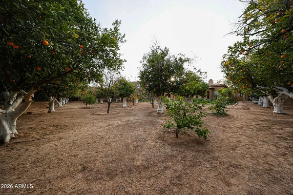 $1,999,000 | 2005 North Pomelo, Mesa, AZ 85215