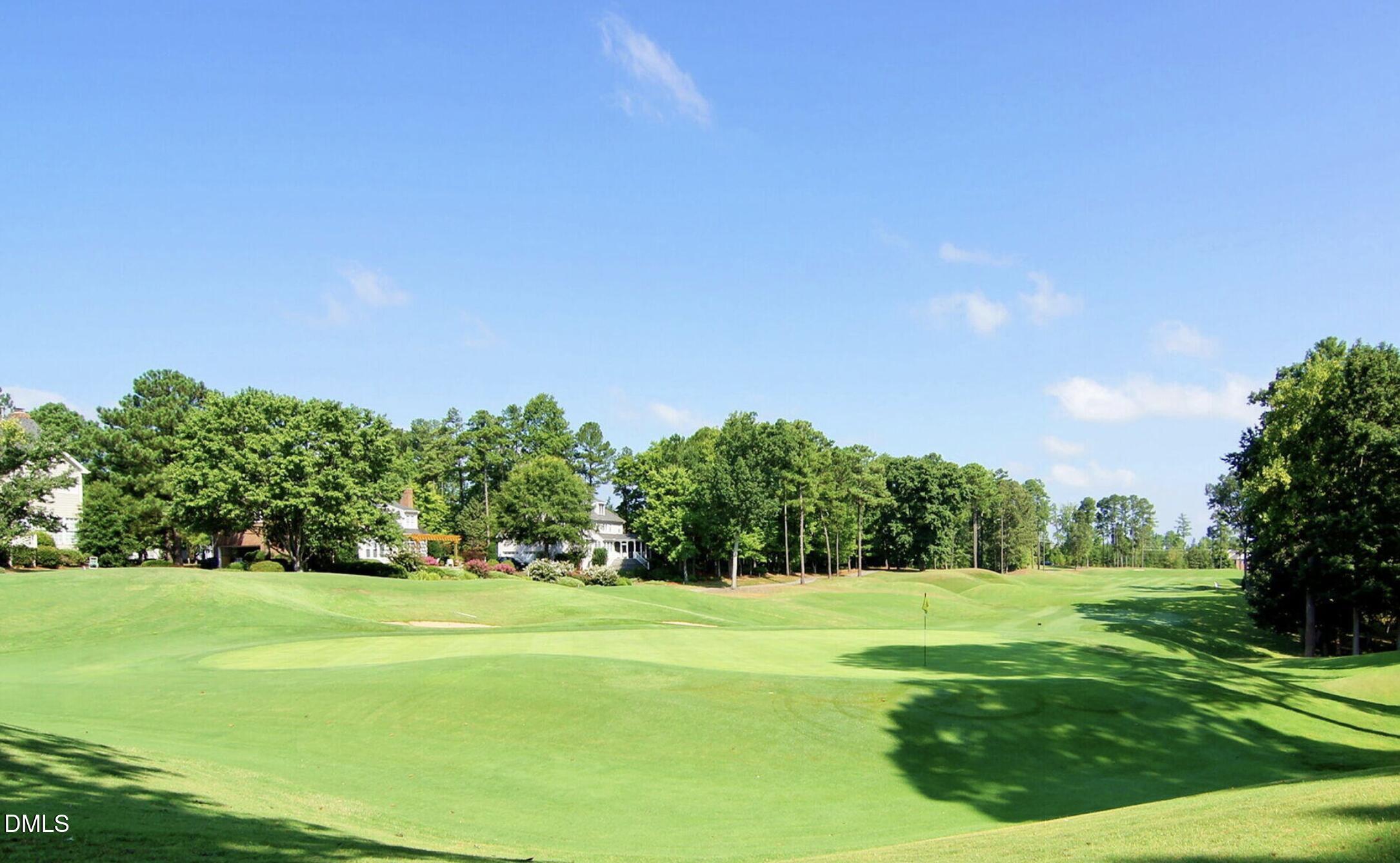 215 West Savannah Ridge Road Holly Springs, NC 27540 - Photo 26 of 29 golf course