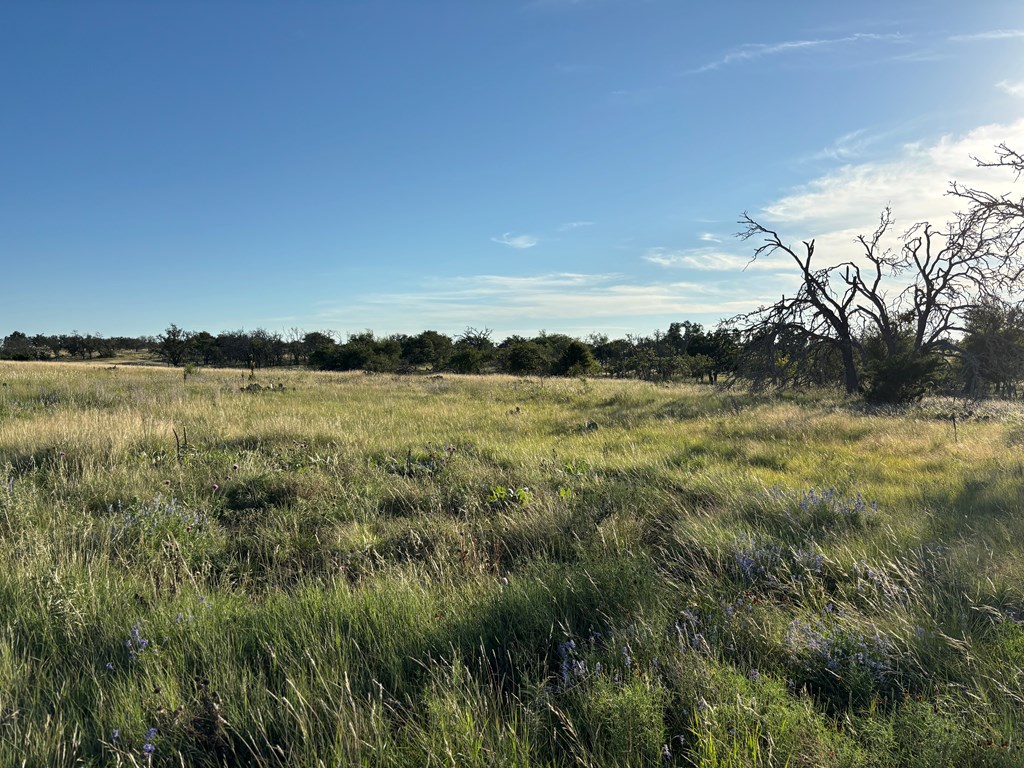 183 Lipan Loop, Unit 20 Harper, TX 78631 - Photo 10 of 14 a view of a lake with houses in the back