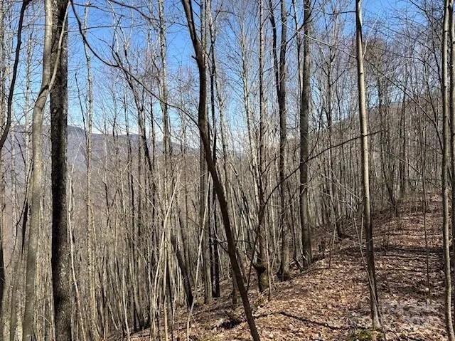 a view of a yard of the house