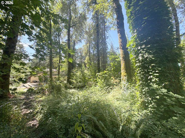 65425 East Timberline Drive Rhododendron, OR 97049 - Photo 4 of 14 Gallery Image 4
