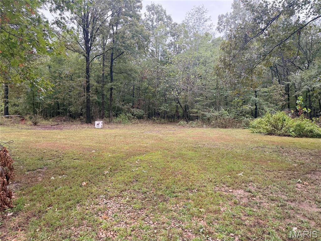 262 Ripley Bb-1 Fairdealing, MO 63939 - Photo 22 of 28 Gallery Image 22