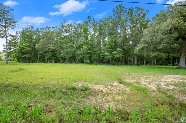$35,000 | Tbd Lot 81 Tbd Road, Springfield, LA 70462