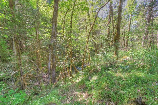 1225 Upper Powell Creek Road Williams, OR 97544 - Photo 24 of 30 Additional Photo