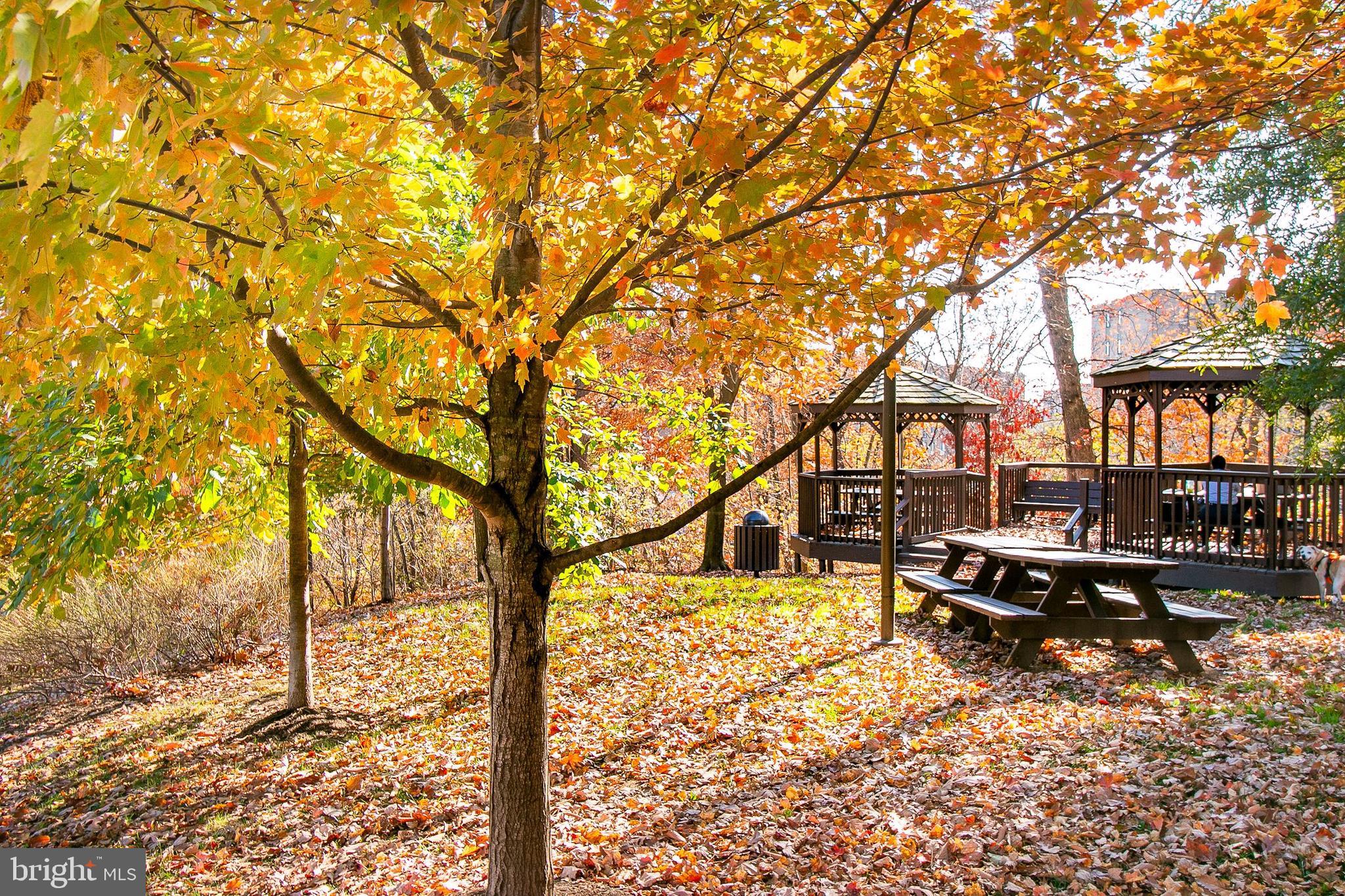 5901 Mt Eagle Drive, Unit 1101 Alexandria, VA 22303 - Photo 38 of 44 Picnic Area!