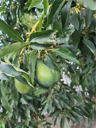 $4,400 | 10434 Hillview Avenue, Chatsworth, CA 91311