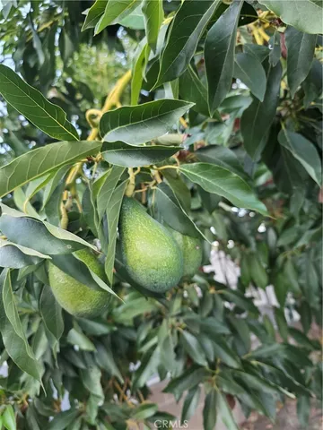 $4,400 | 10434 Hillview Avenue, Chatsworth, CA 91311