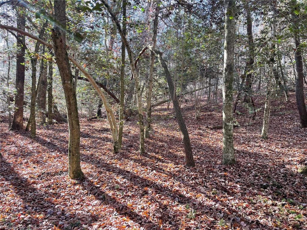 Tbd Austin Little Mountain Road Elkin, NC 28621 - Photo 35 of 37 Gallery Image 35