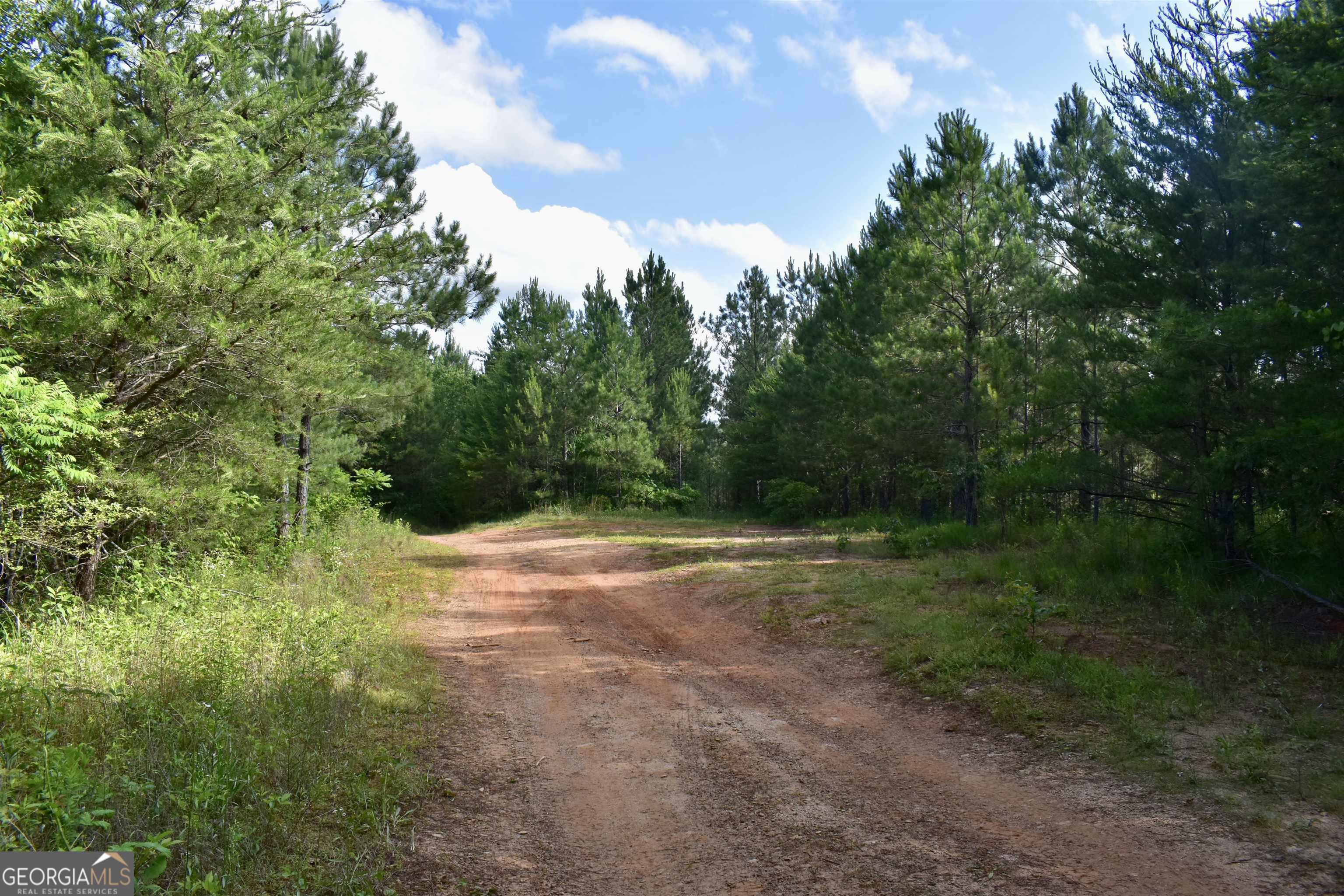 0 Shyers Ford Road Talking Rock, GA 30175 - Photo 1 of 1 Gallery Image 1