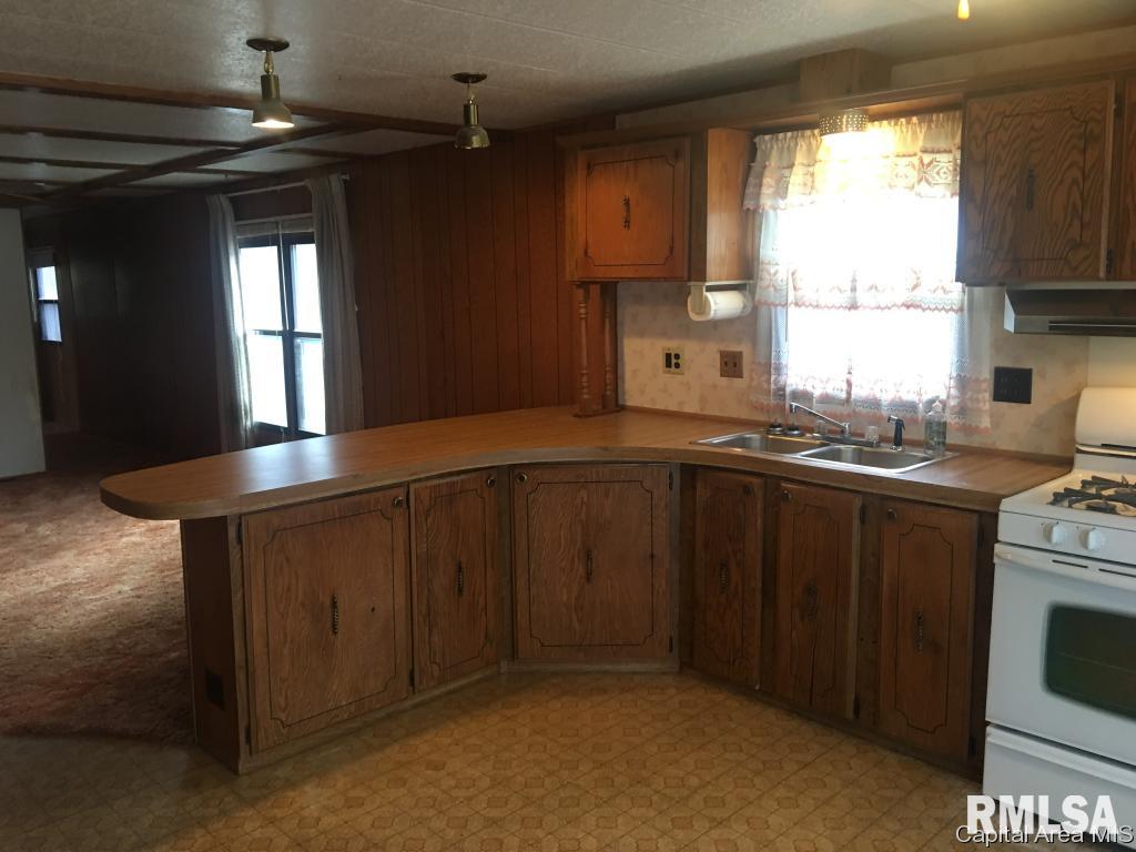 300 Forrest Avenue Springfield, IL 62702 - Photo 3 of 19