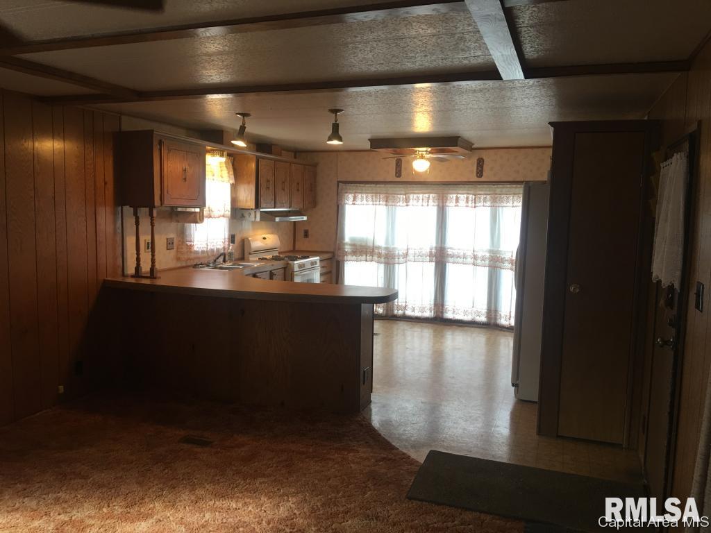 300 Forrest Avenue Springfield, IL 62702 - Photo 6 of 19