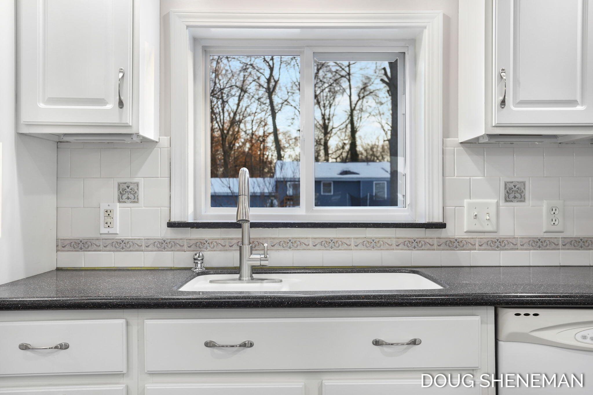 138 Riley Street Holland, MI 49424 - Photo 14 of 41 Sink with Views of the Backyard