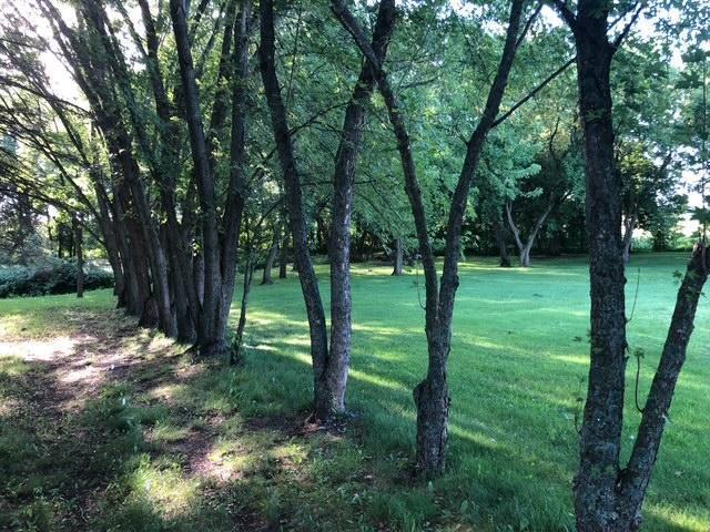 21276 County Road 7 St. Augusta, MN 56301 - Photo 42 of 43