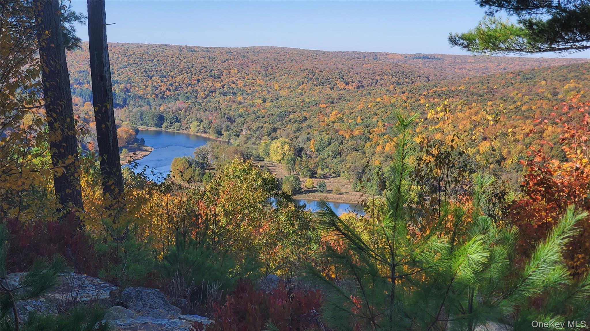 Lot 1 Eagle View Road Narrowsburg, NY 12764 - Photo 1 of 1 View of Delaware River