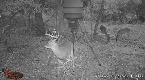 3061 Cyn Rnch Road Palo Pinto, TX 76484 - Photo 20 of 22 Gallery Image 20