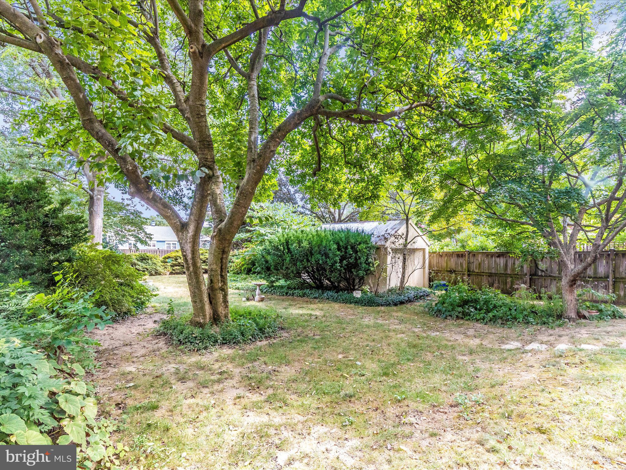 640 Wilson Place Frederick, MD 21702 - Photo 37 of 43 a view of a yard with plants and trees