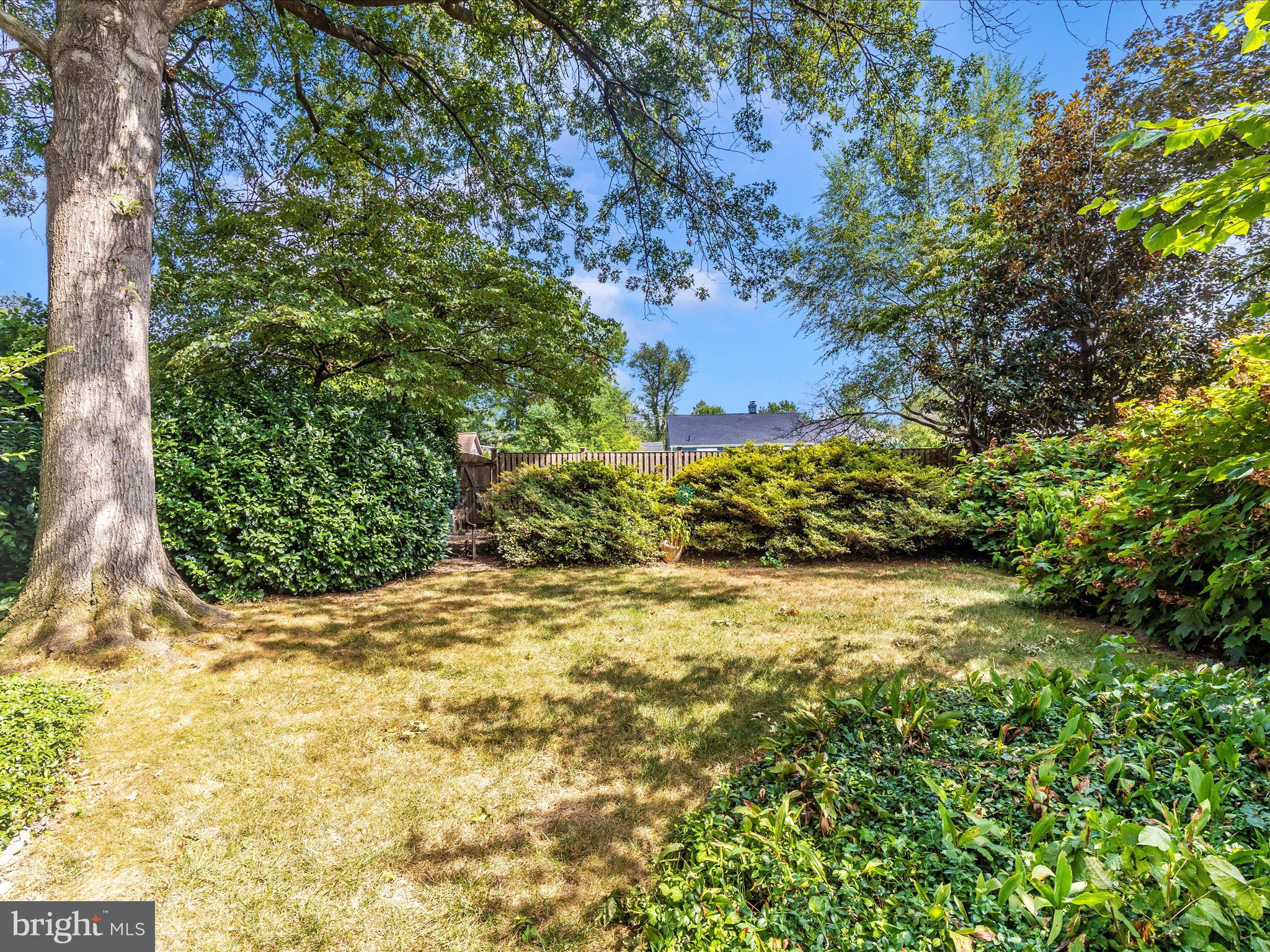 640 Wilson Place Frederick, MD 21702 - Photo 42 of 43 a view of a yard with plants and large trees