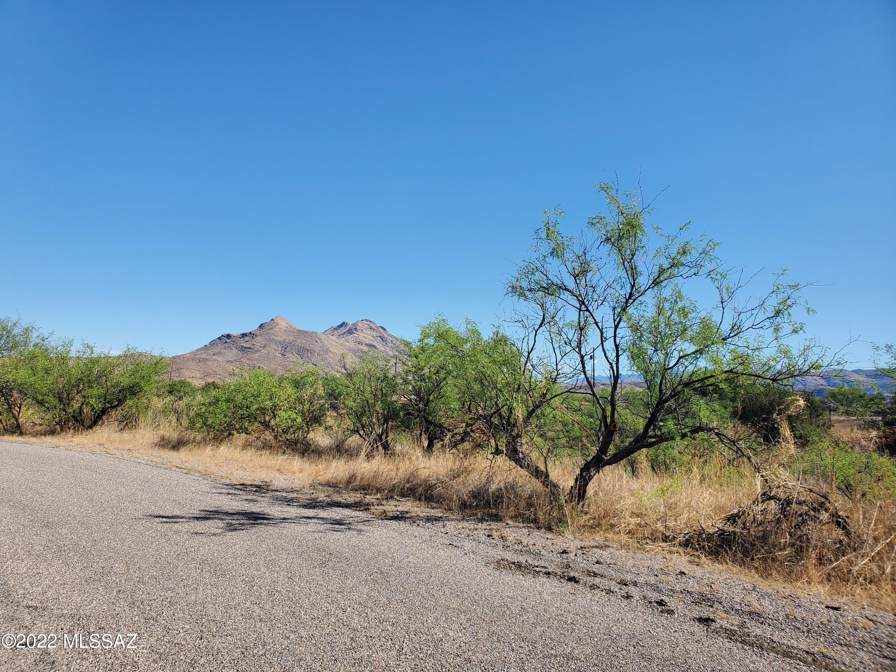 1159 Metate Court, Unit 45 Rio Rico, AZ 85648 - Photo 2 of 4