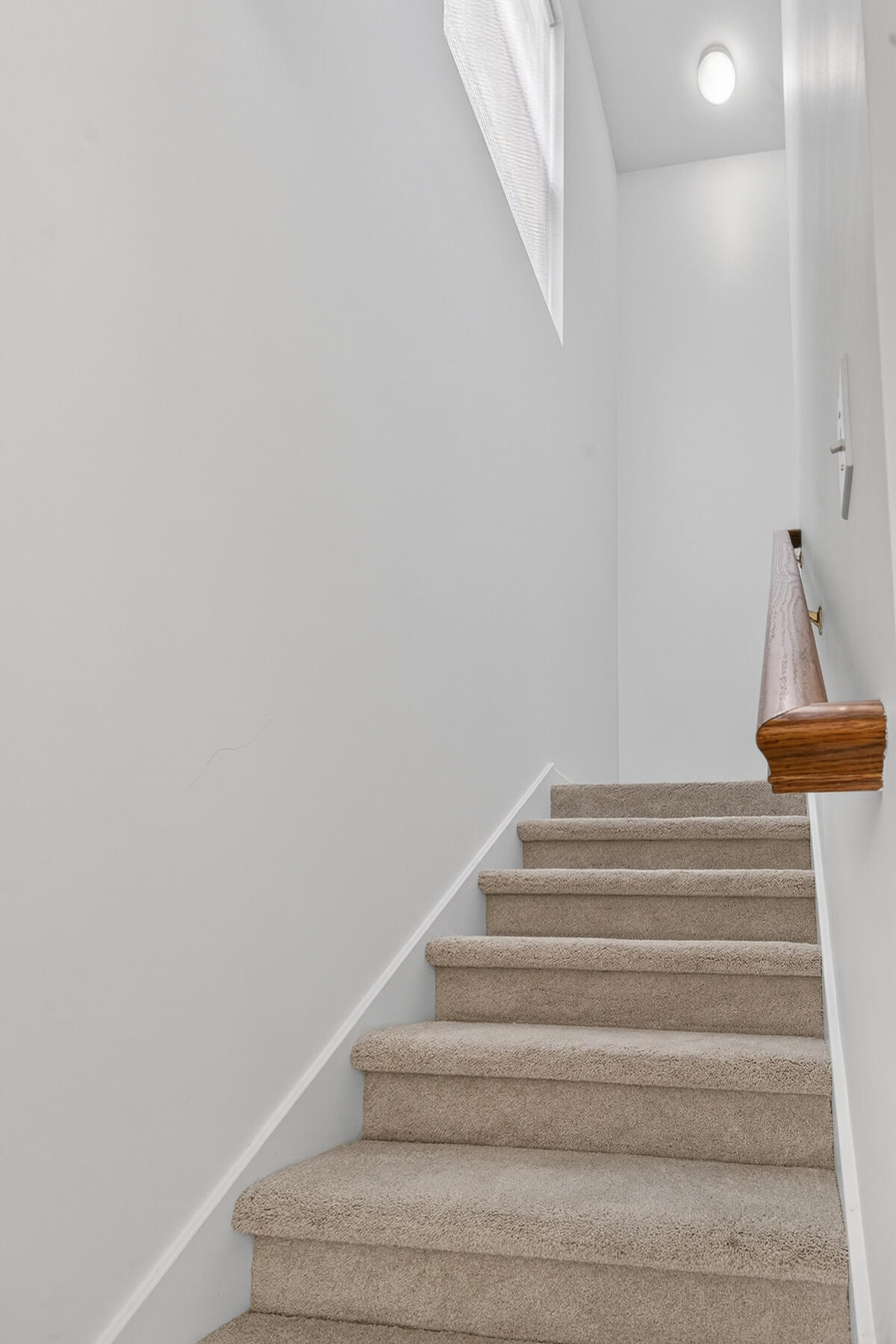 306 Winford Court Moncks Corner, SC 29461 - Photo 68 of 80 MD-68