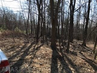 On Raymond Road Huntingdon, PA 16652 - Photo 4 of 5 a view of a forest with trees