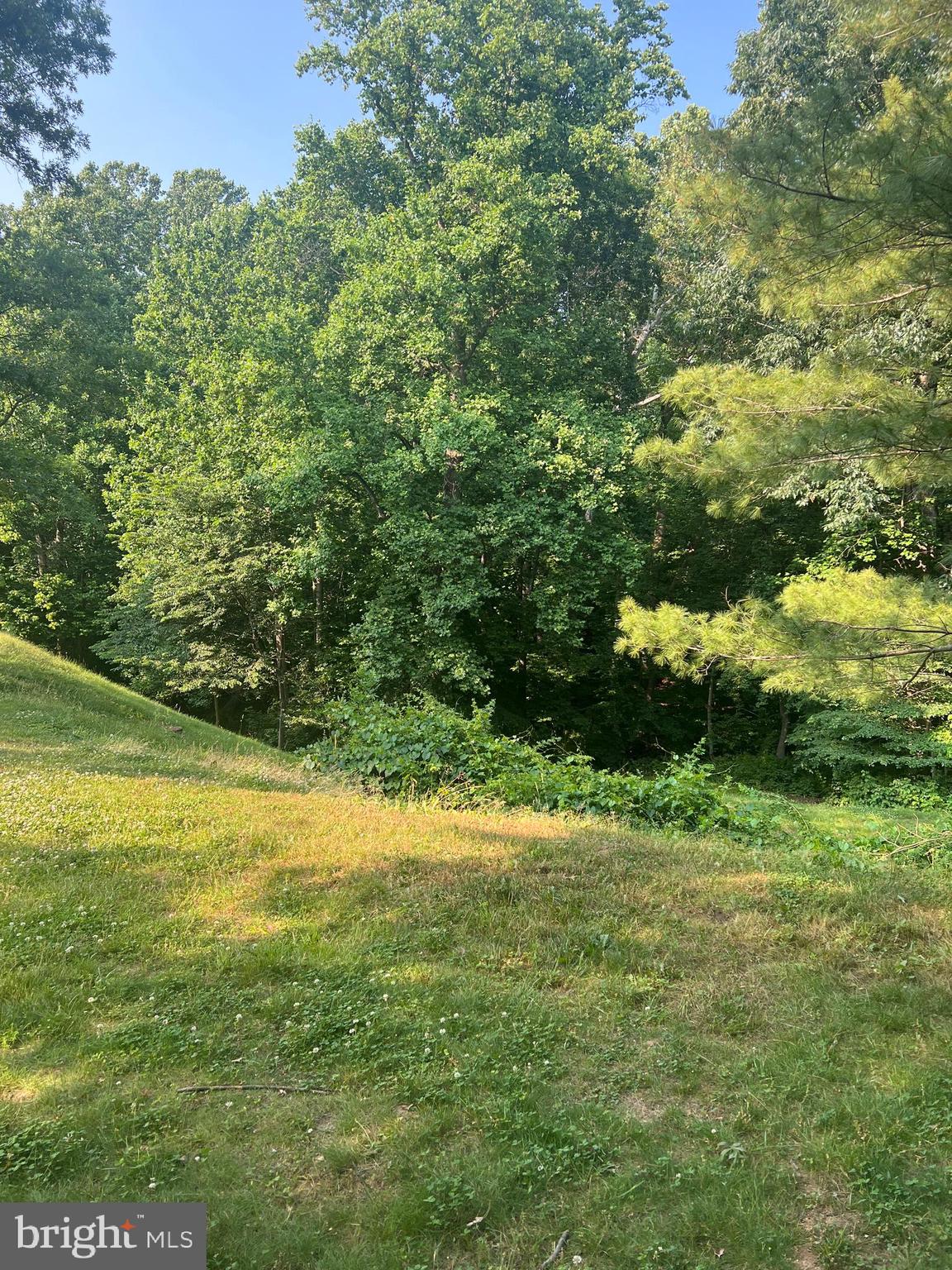 19086 Highstream Drive, Unit 766 Germantown, MD 20874 - Photo 21 of 21 a view of a yard with a house