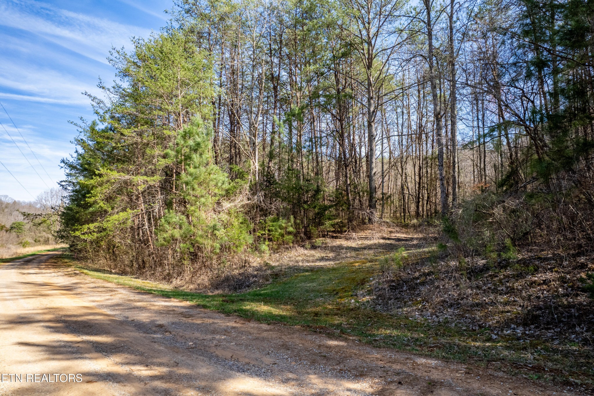 0 Welch Road Tellico Plains, TN 37385 - Photo 8 of 12 Gallery Image 8