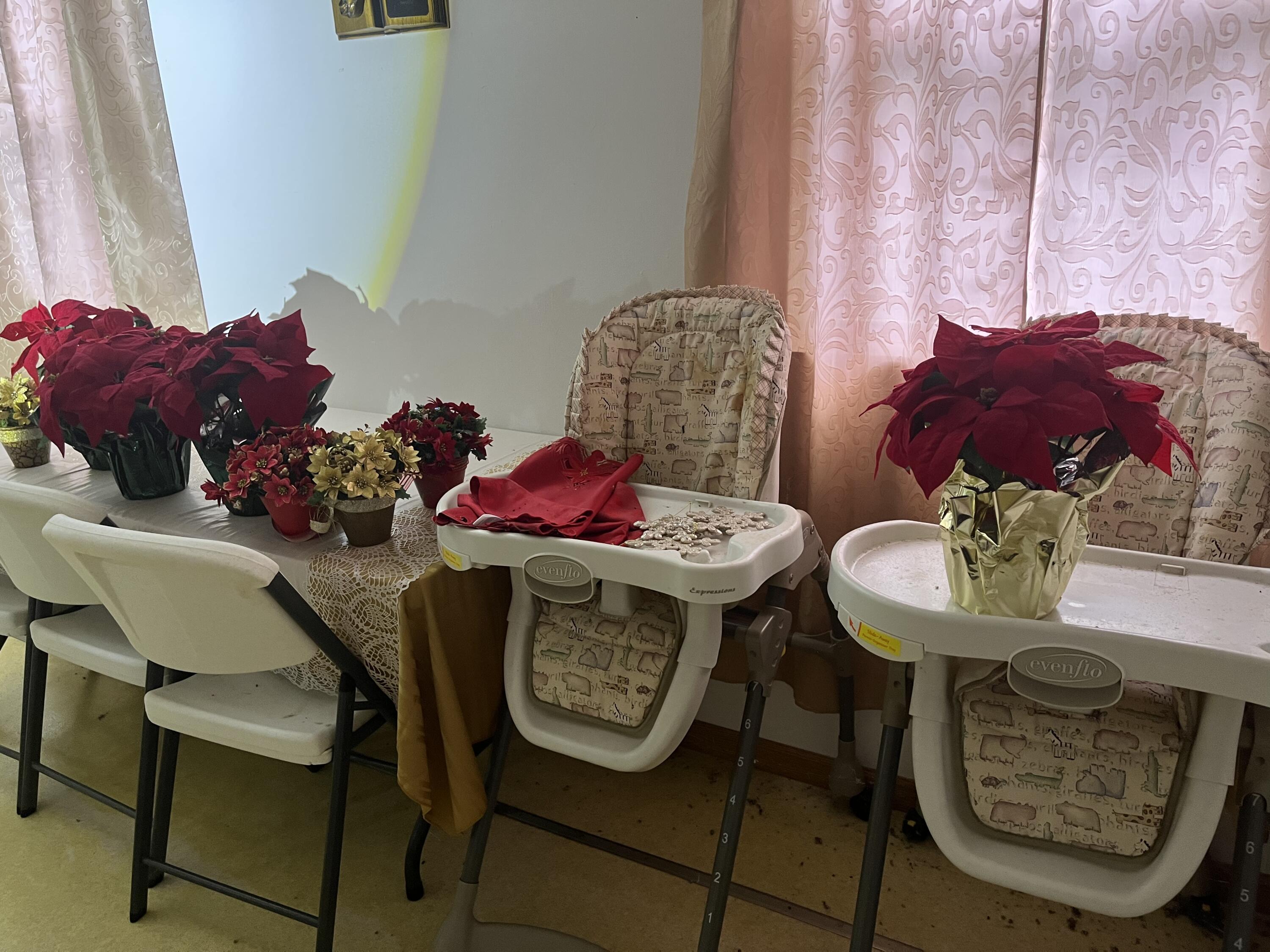 4806 Little Tom Road Coeburn, VA 24230 - Photo 18 of 19 F4EE8845-E840-4298-BF4A-48E1C36DEDF3