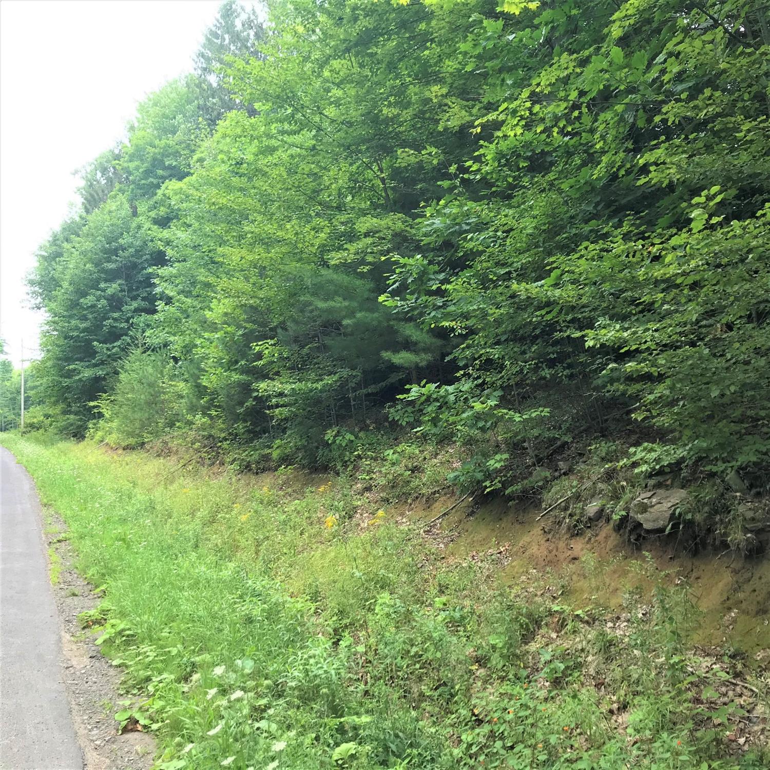 0 Starr Road Otego, NY 13825 - Photo 1 of 1 Gallery Image 1