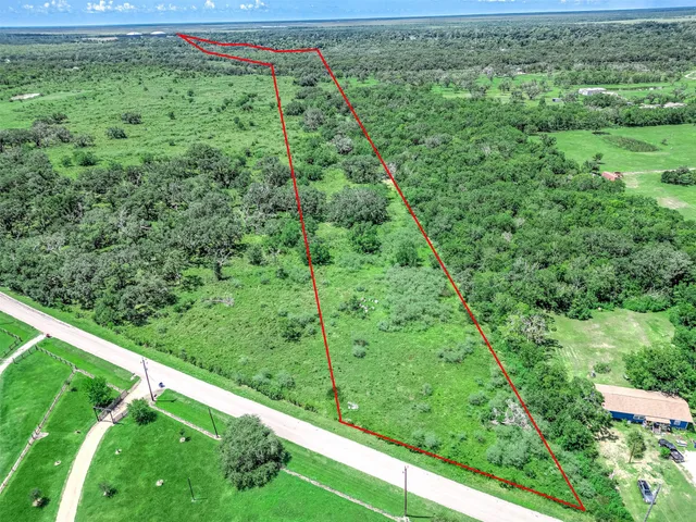 a view of a lush green forest with a lush green forest