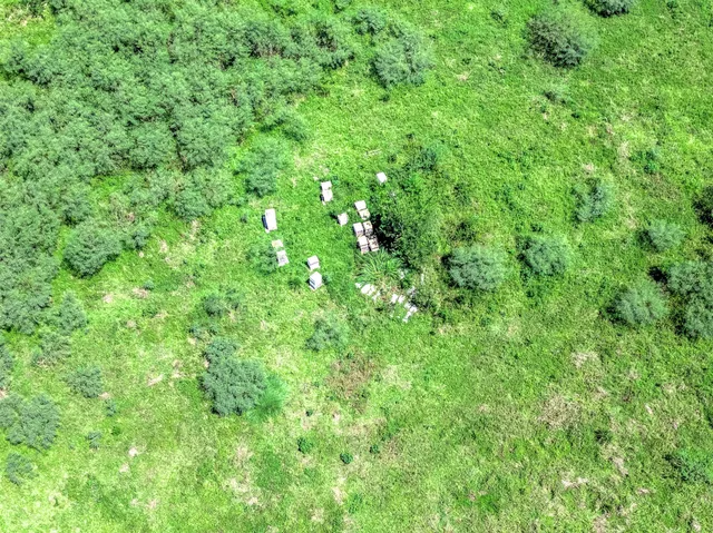 a view of a lush green space