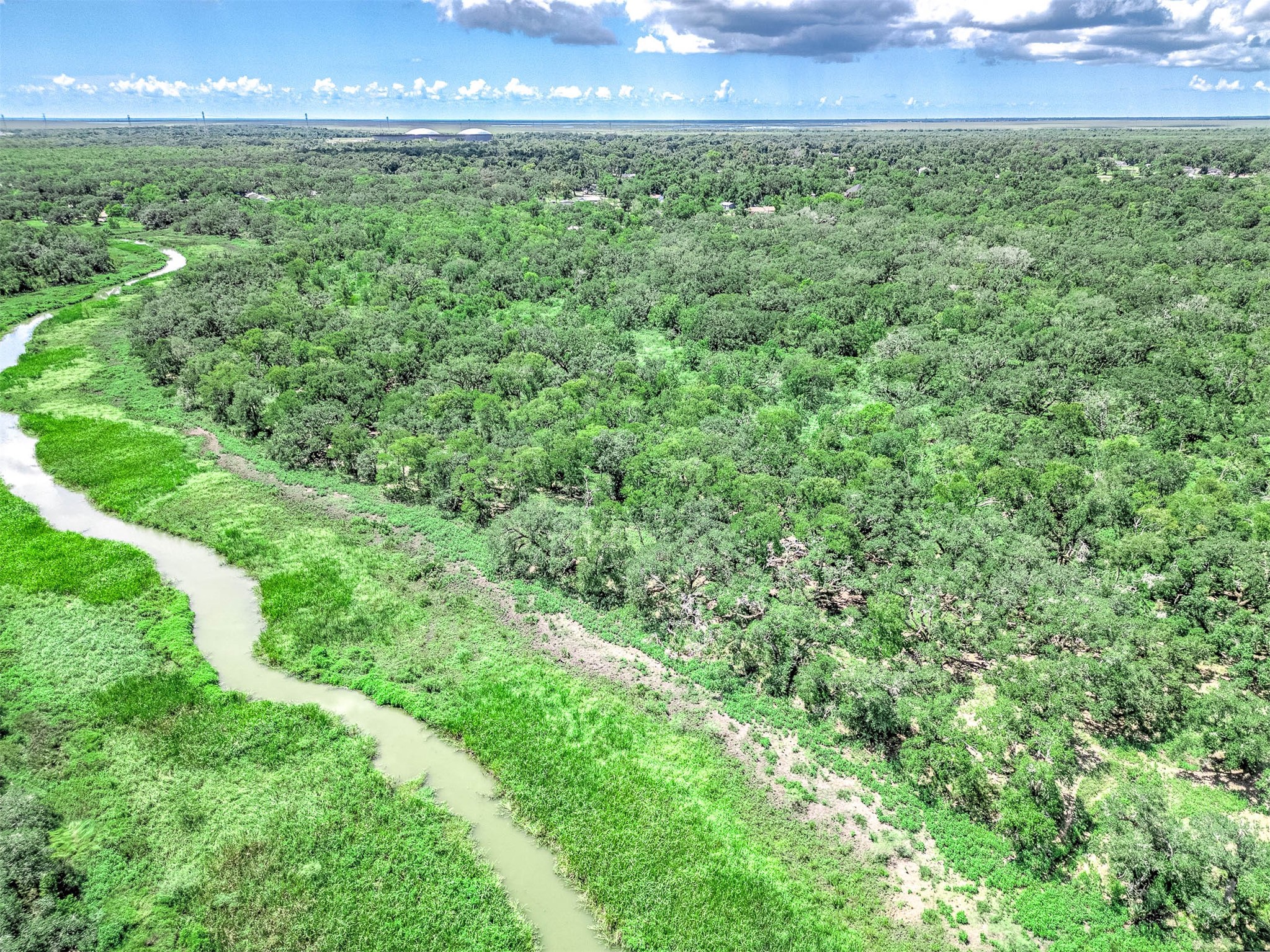 14991 Ac Cr Freeport, TX 77541 - Photo 4 of 20 a view of a big yard with plants and large trees