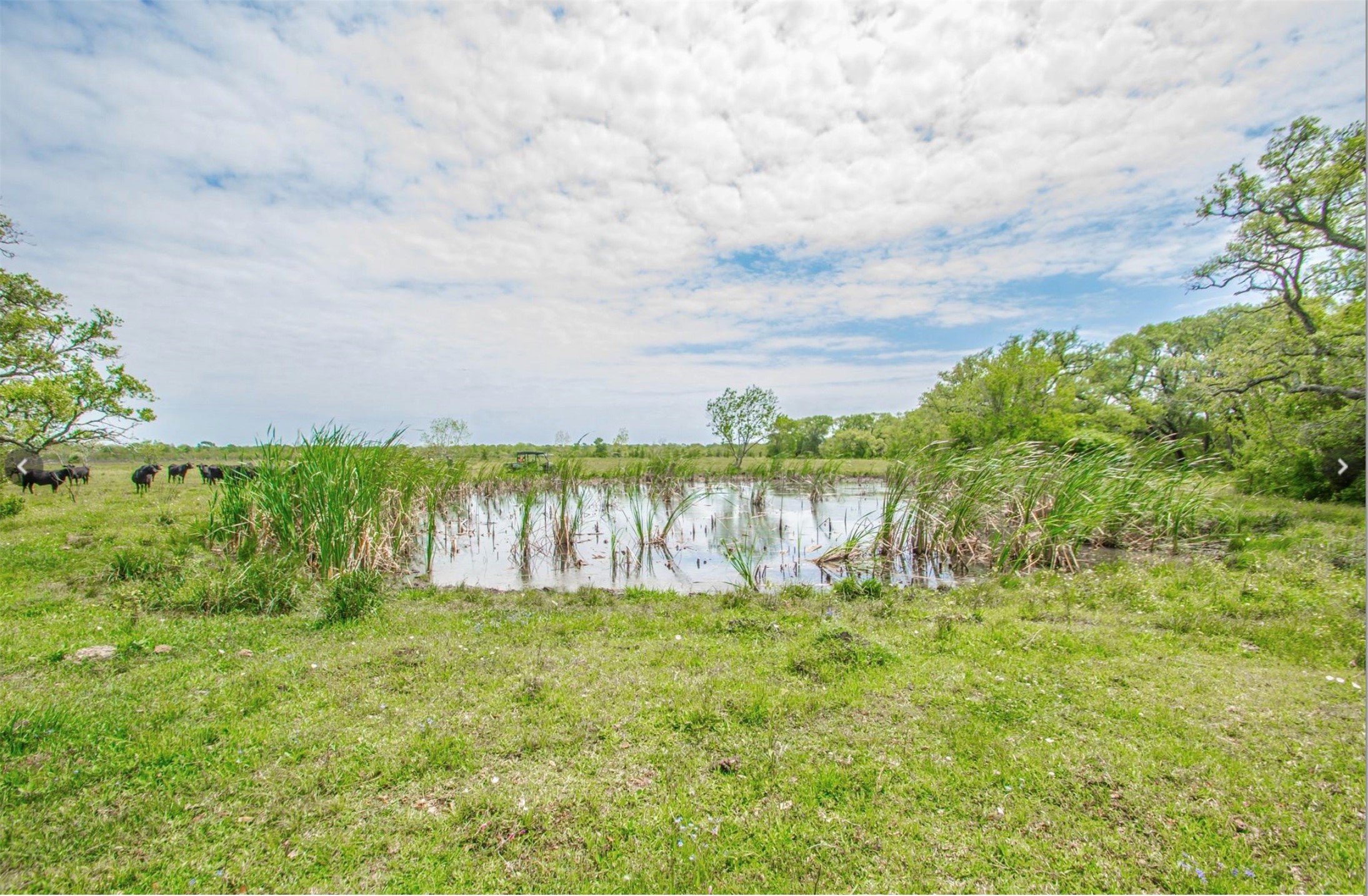 14991 Ac Cr Freeport, TX 77541 - Photo 7 of 20 a view of a lake with a big yard