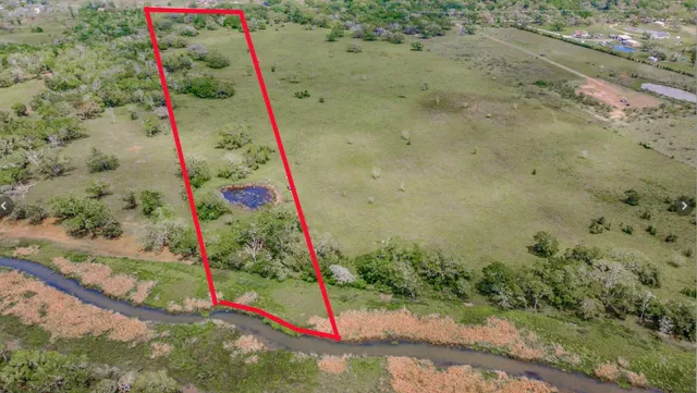 a view of under a tree