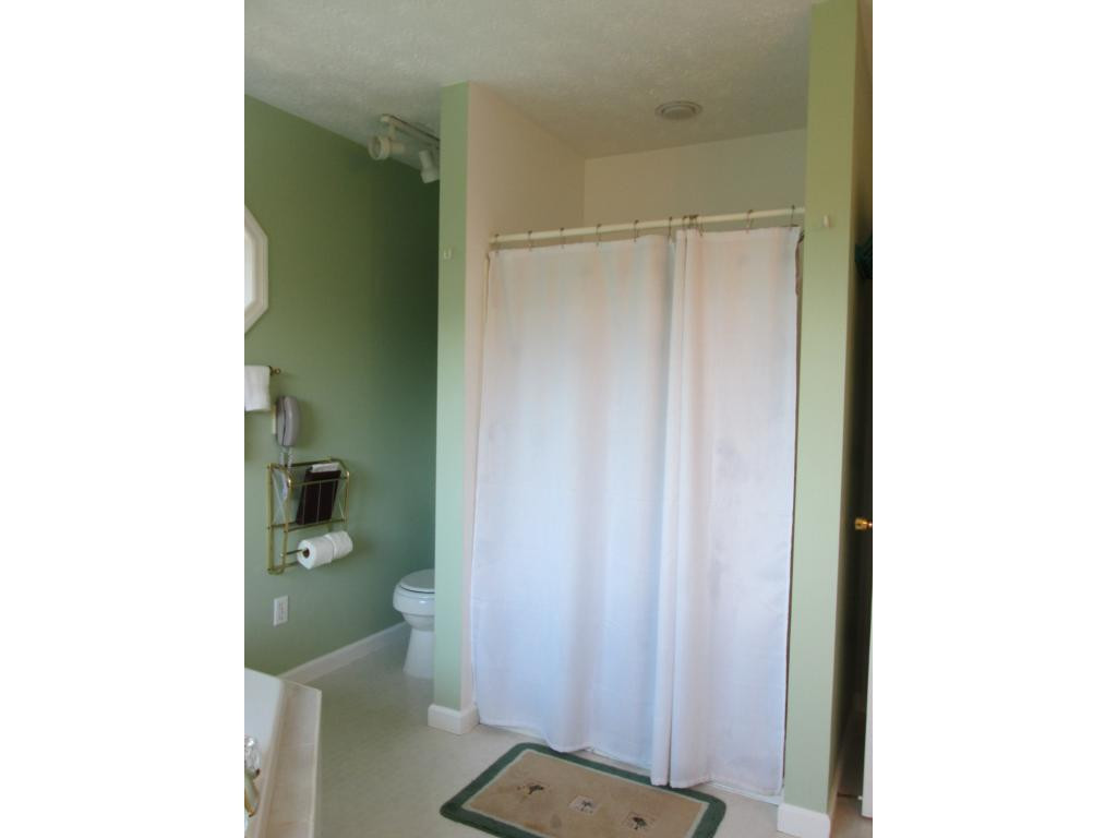 1120 Reece Hill Road Mountain City, TN 37683 - Photo 16 of 36 Separate Shower