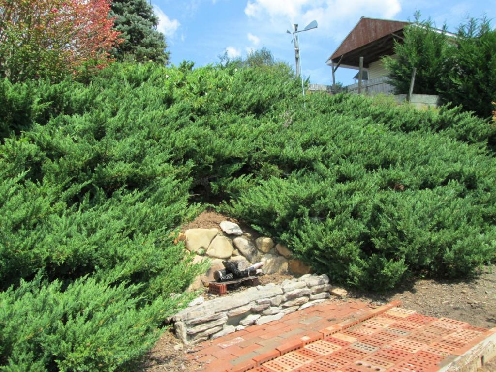 1120 Reece Hill Road Mountain City, TN 37683 - Photo 30 of 36 Fire Pit