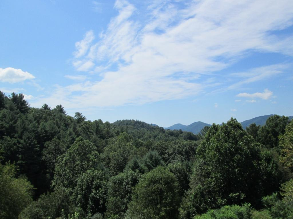 1120 Reece Hill Road Mountain City, TN 37683 - Photo 34 of 36 View from deck