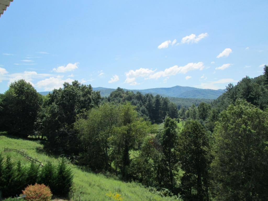 1120 Reece Hill Road Mountain City, TN 37683 - Photo 36 of 36 Did I Mention VIEWS