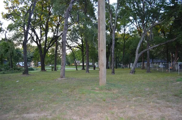 a view of a trees in a park