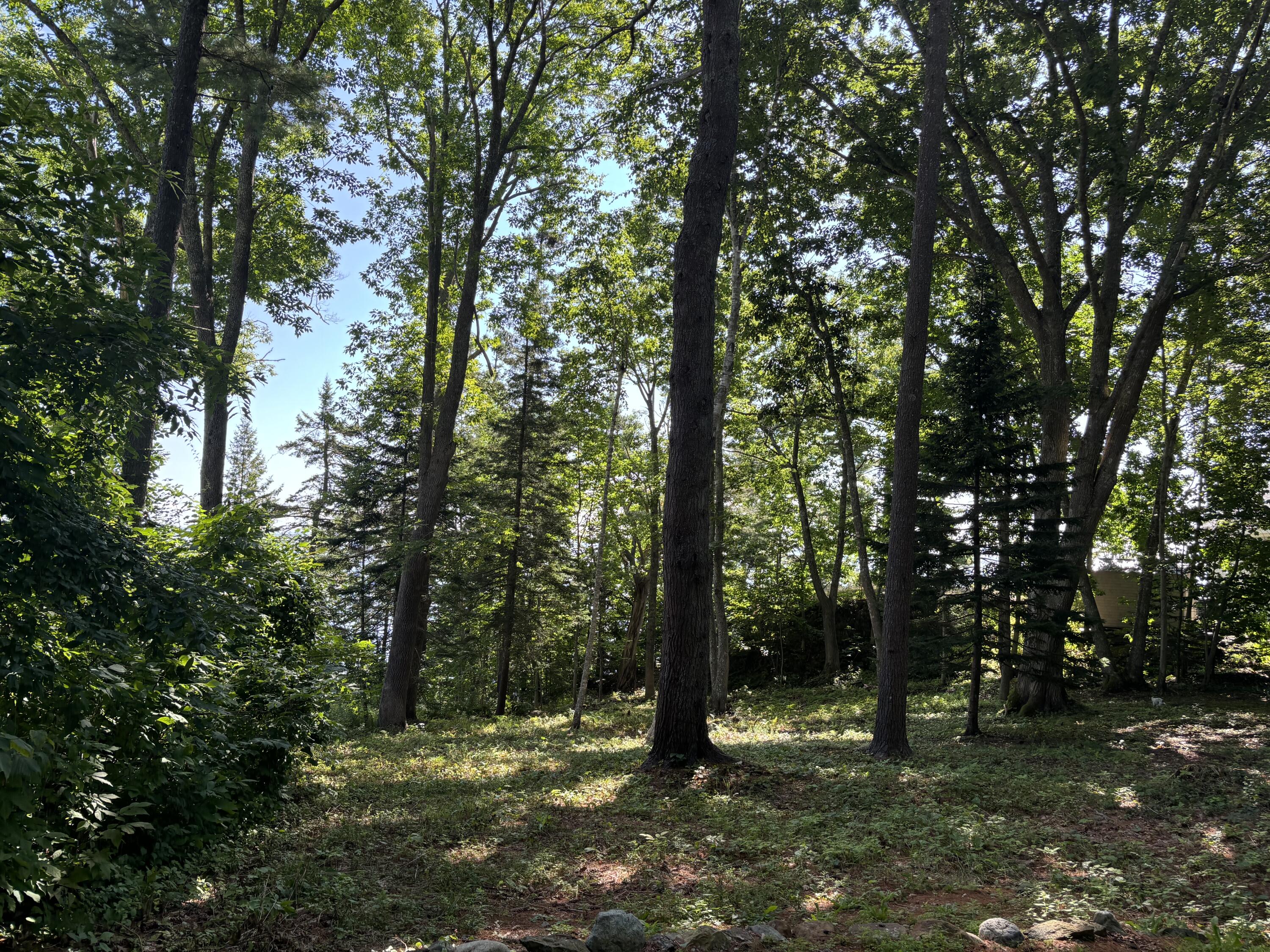 Lot 19 Roxmont Road Rockport, ME 04856 - Photo 4 of 27 IMG_1306