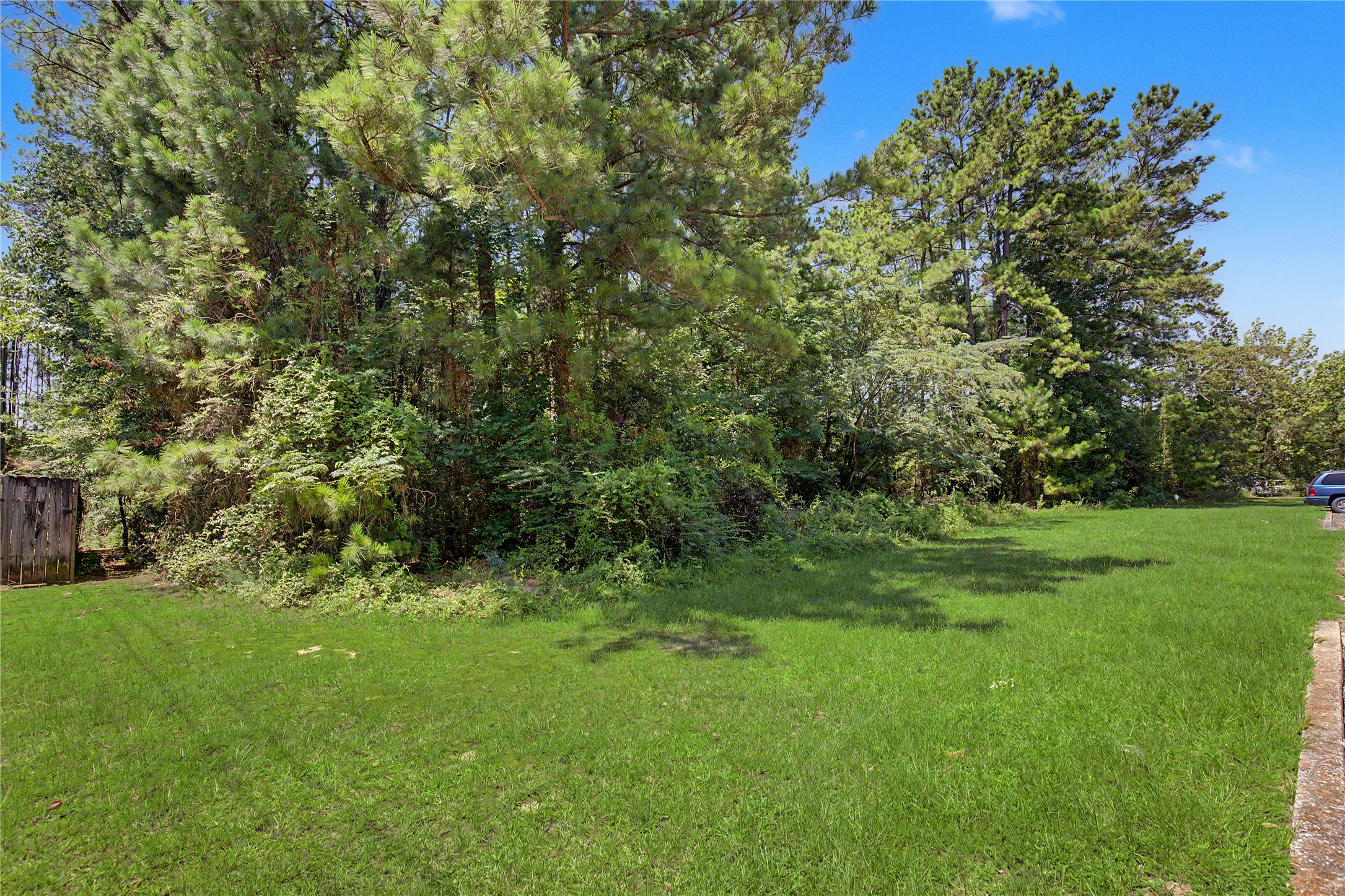 Tbd Lake Road Huntsville, TX 77340 - Photo 10 of 10 Gallery Image 10